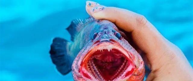  地球上你可能不知道的21个“冷知识”，看完你或许会怀疑人生