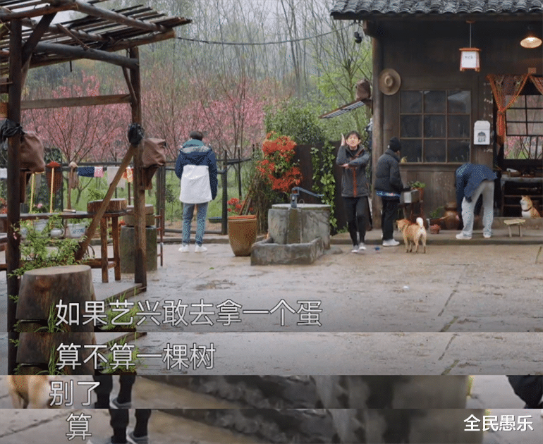 全民愚乐 张艺兴害怕尖嘴动物,努力和鸡鸭保持距离,何炅的处理方式很暖心