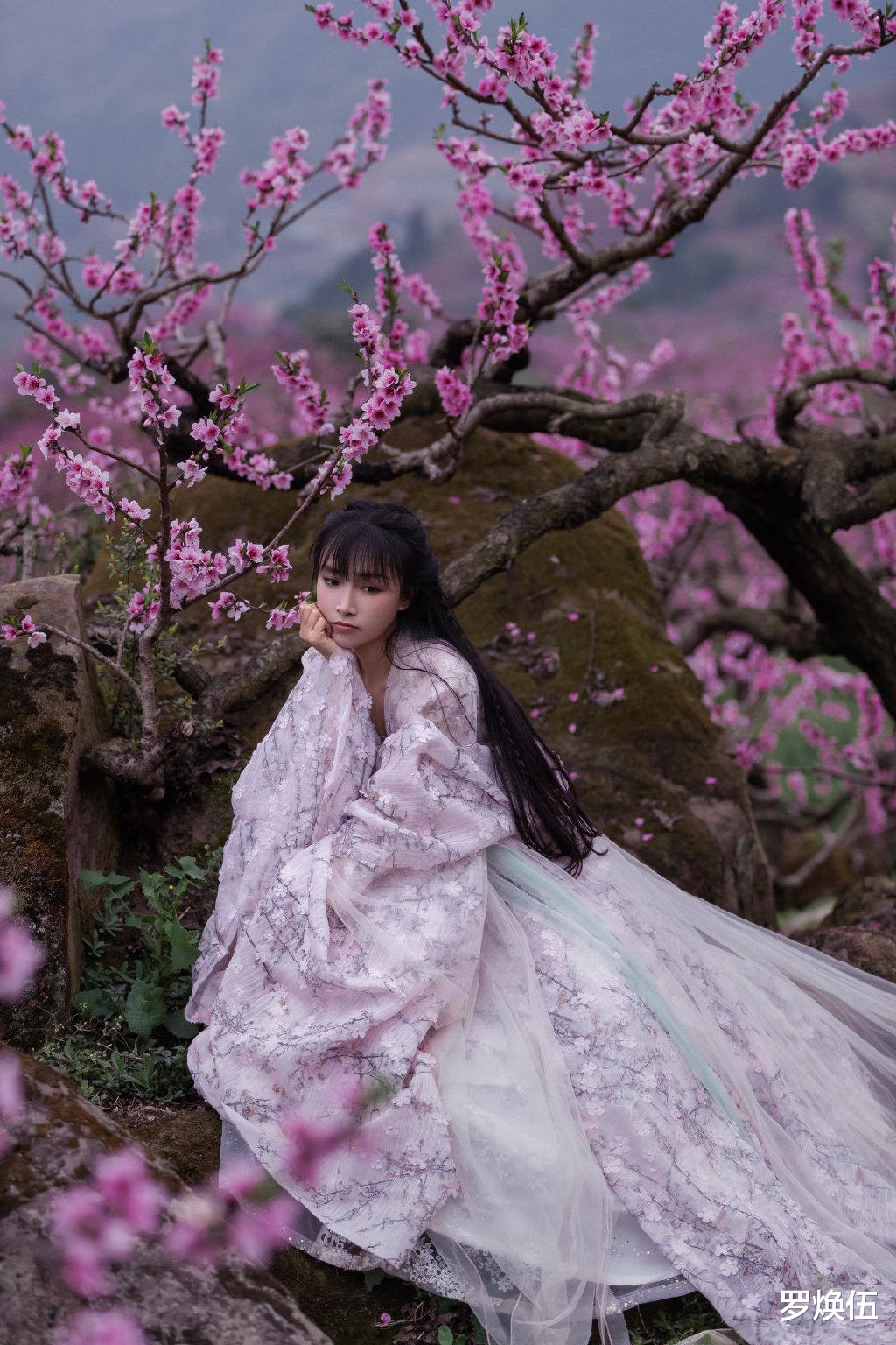 罗焕伍|网曝李子柒报警原因,资本大佬要求其割粉丝韭菜,拒绝后被暗中下套