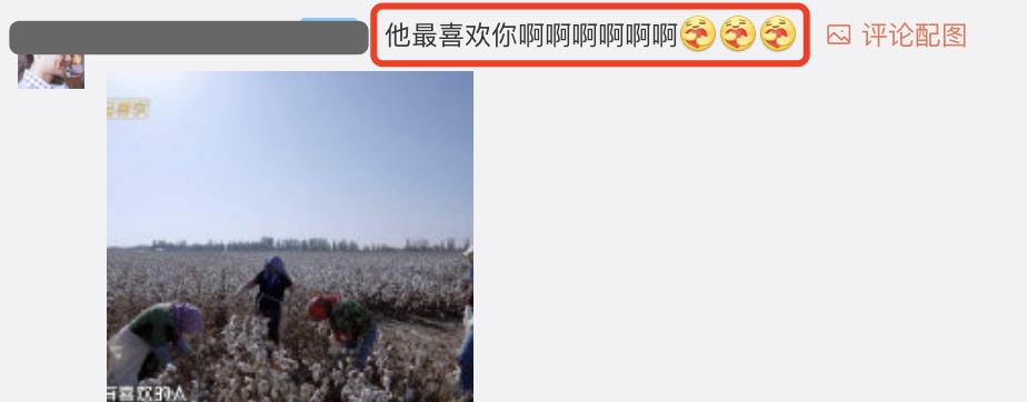 张智霖|张智霖戴头巾摘棉花，吐槽袁咏仪嗓门大，靓靓霸气回怼他是狼外婆