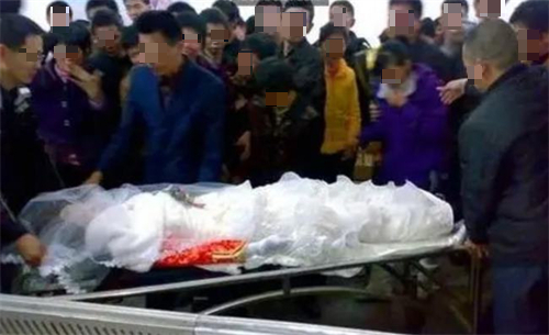 上海市 上海一出现实版“农夫与蛇”的悲剧