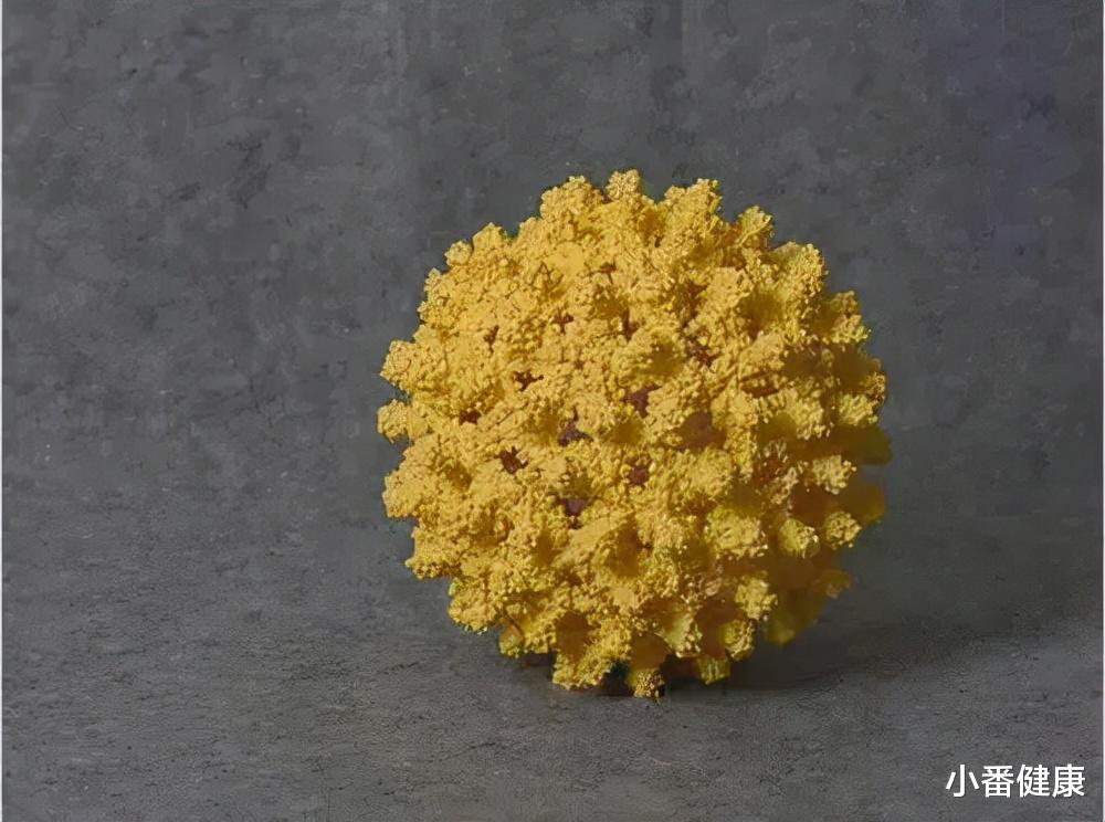 乙肝药物研发实验,通过终点稀释法,确定一类新型抑制剂