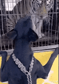 小姐姐|搞笑GIF: 这办公室是没别人了吗？ 哈哈哈