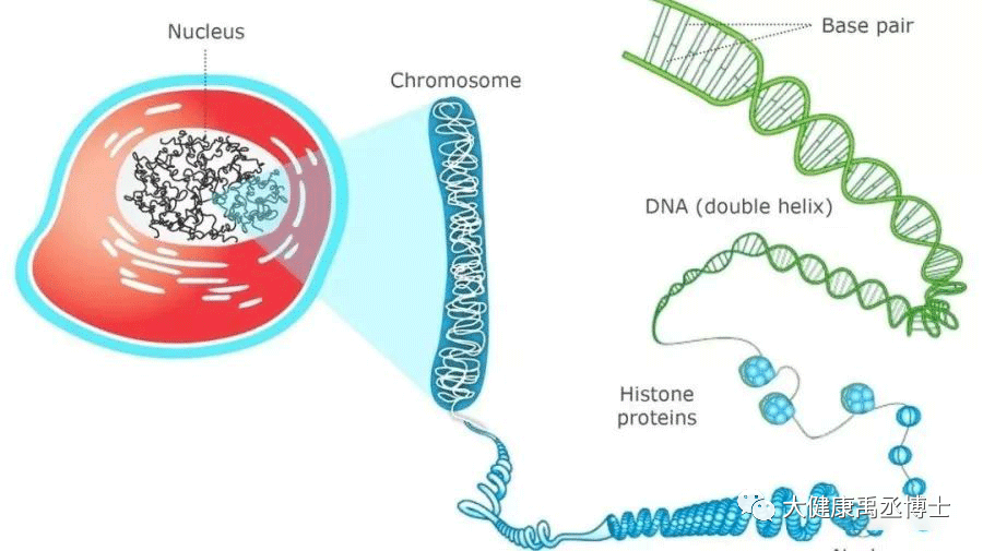 金星合月 命运的不公，原来区别在这里
