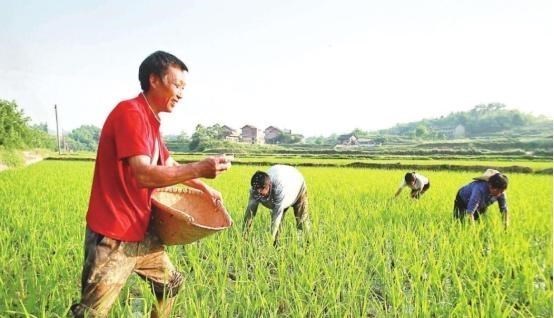 养老金|农民养老金只有数百元?为什么不能额外多涨钱?主要有5大原因