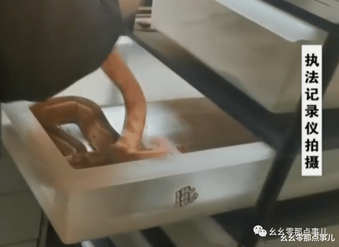 幺幺零那点事儿 爱好养蛇本无错，偏要触碰法律红线！网购红尾蚺，北京男子被刑拘