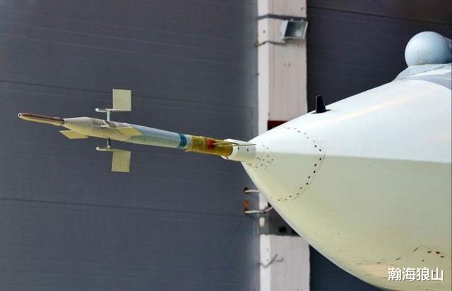 飞机|新上天的试飞战斗机，为何都要带上长长的空速管？