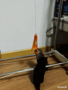 神回复|神回复：假如女朋友发烧40度，王者荣耀晋级赛刚开，你会怎么办？