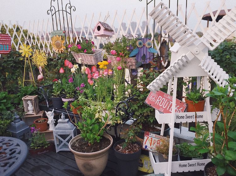 花一年多时间，改造16㎡屋顶露台，荒废屋顶变身“空中小花园”