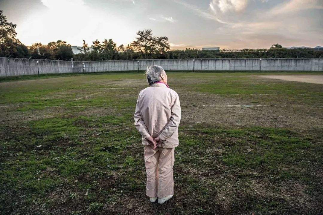儿子总叫她“没事不要烦我”,却害老母亲被诈骗…专家道出法庭上最哀伤的故事