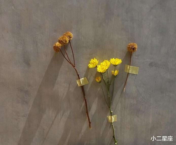 小二星座 “聪明伶俐”,情商高的星座,其实他们什么都懂,只是看穿不说穿