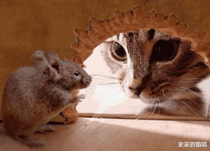 史家的霸唱 邱满囤：一次灭鼠80吨，却遭5位专家狠批，最终将秘方带入黄土中