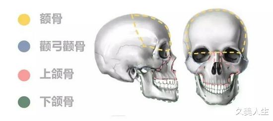 丸子头|长得好看的人有什么共同点？骨相美才是真美人