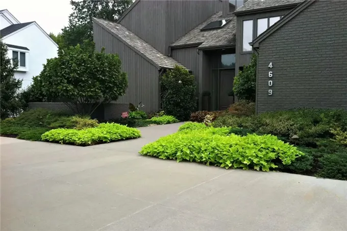 这个设计感十足,色彩斑斓的现代庭院,真漂亮!