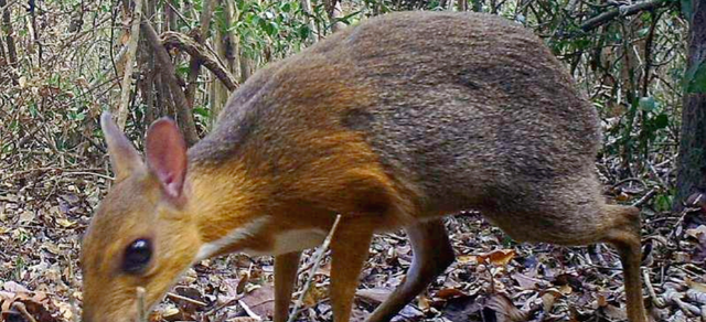 太空 一组图盘点：8个有趣的动物之“最”，你知道几个？看完长见识了