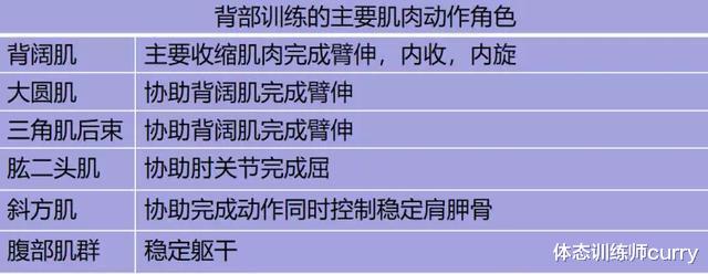 体态训练师curry|很多新手都会有这样一个想法，背肌又看不到，不练行吗？