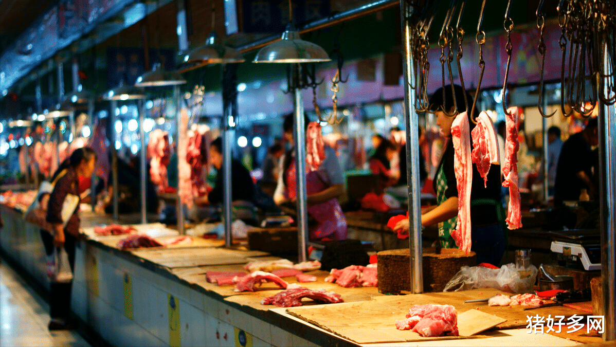 生猪价格 飞在风口的猪价硬生生的跌了下来，中小散户路在何方？