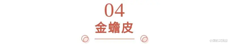 文玩|一条羊屎蛋手串盘了十五年，被人6000元买走了！