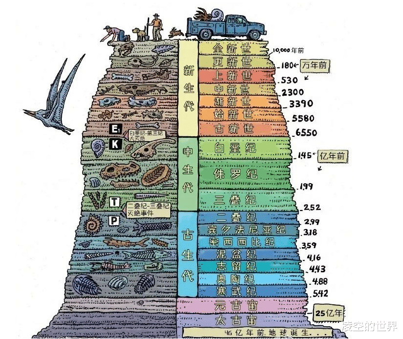 盘点地球各时期的生物霸主——(一)古生代