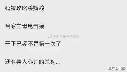 王岳伦|《当家主母》剧组的那只白猫，确实死了