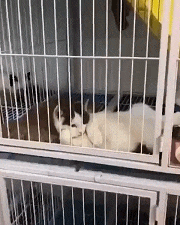  被陌生人拉入公主群，是一种怎样体验？仿佛来到新世界！