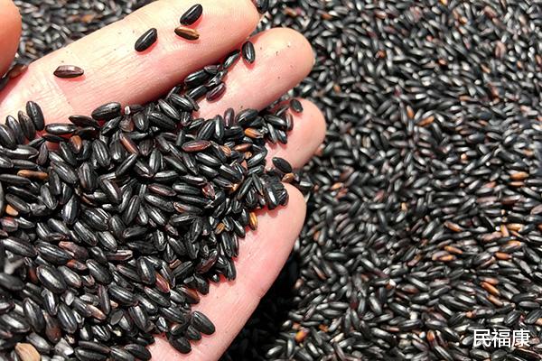 脱发|头发多久洗一次比较好？天天洗头会不会导致脱发？