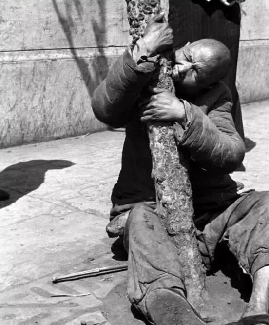 明星|64人侮辱攻击袁隆平，被曝光骂上热搜：就不该让这些人渣吃的太饱！