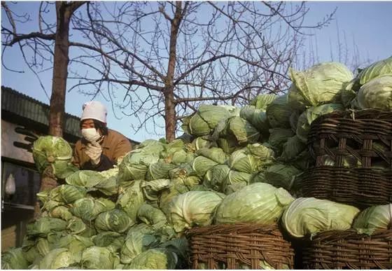 爱北京四合院 【多图回忆】小时候的北京