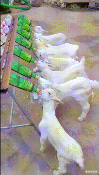 电视剧|国内最长的电视剧，一共拍了3000多集，播了快20年了还在播