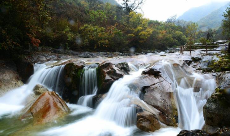 江西 陕西一“森林景区”走红，森林覆盖率高达96％，景区之内有大熊猫