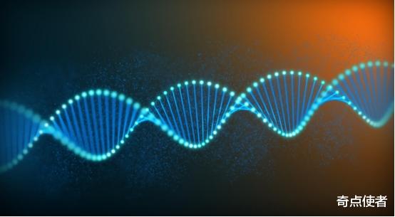 北斗导航 侏罗纪世界要来了？我国科学家疑在恐龙化石中发现DNA，却被质疑