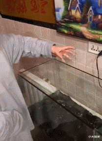 范冰冰|神回复：绑架王思聪和抢银行哪个风险大？神评真绝了，要笑死