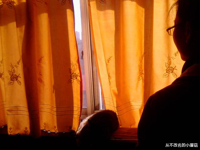 女子27分钟花光丈夫两月工资,丈夫打电话询问被拉黑:现在优惠