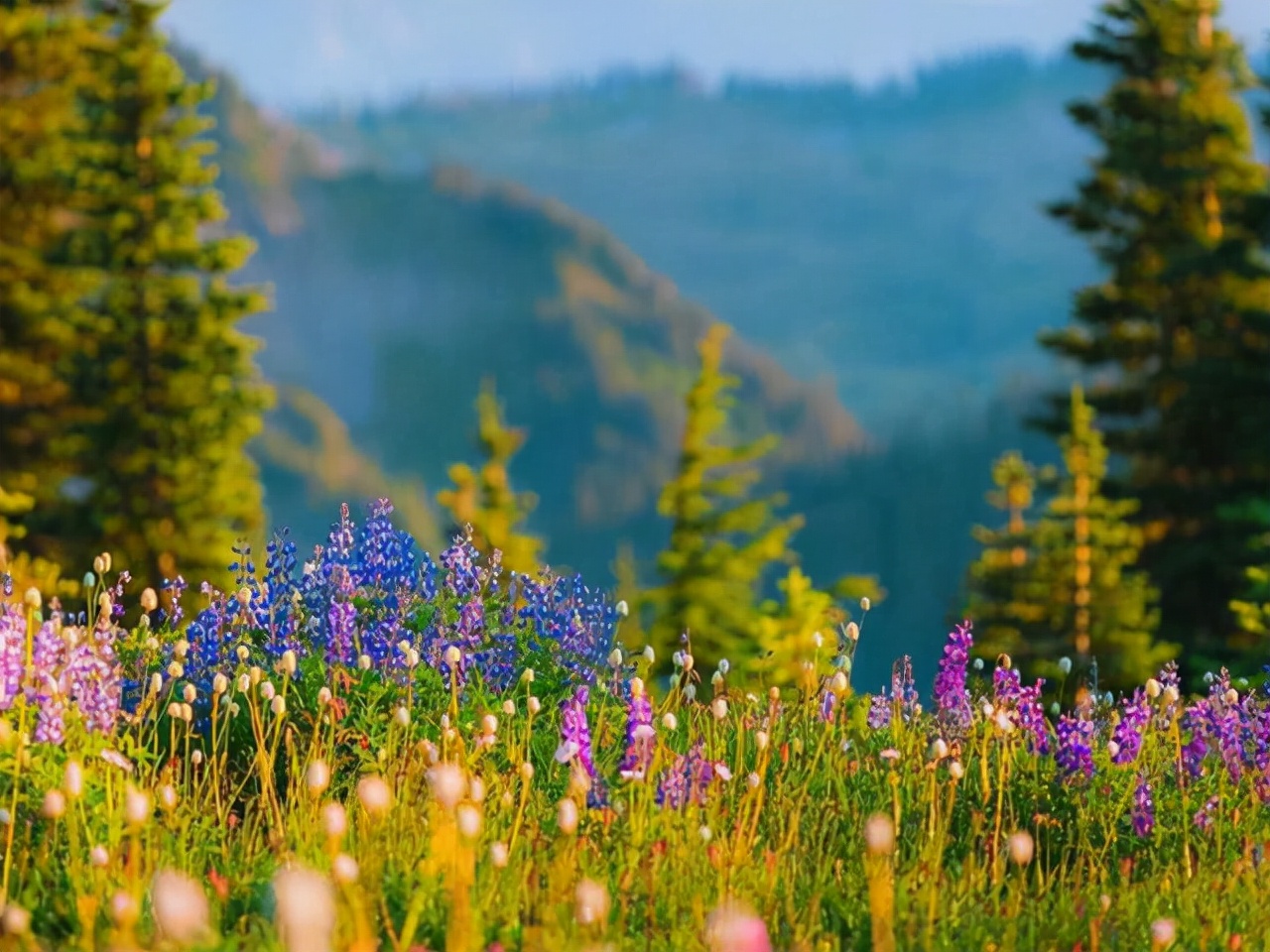 星座师安达|懂得独善其身的星座，外表不争抢，即便遇到好机会，也很难心动