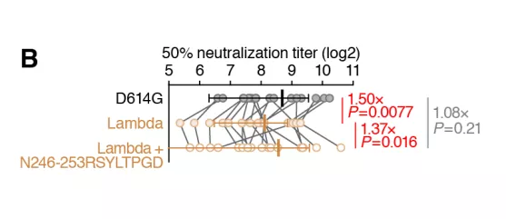 核酸检测 接连喜报!国药发现对抗德尔塔新药物,康泰生物成功分离出德尔塔变异株