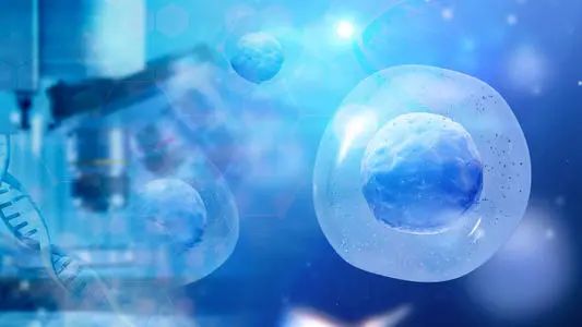 中科西部细胞研究院 中科西部干细胞研究院：干细胞中lncRNA介导的基因组稳态调控新机制