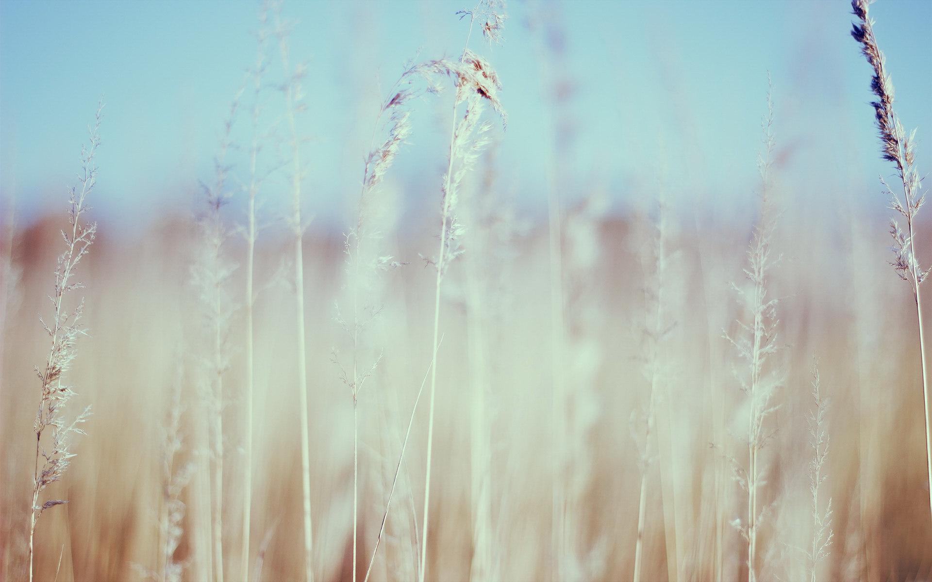 遇见小媛 异性交往，男人不拒绝你三件事，摆明就是对你有好感，别放弃