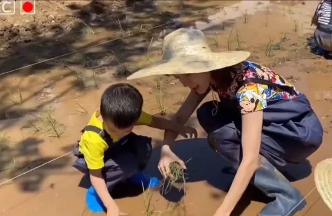 树艺蛙APP|“孙俪带孩子上海义卖,郭晶晶带儿子插秧,我的女儿学着当名媛”
