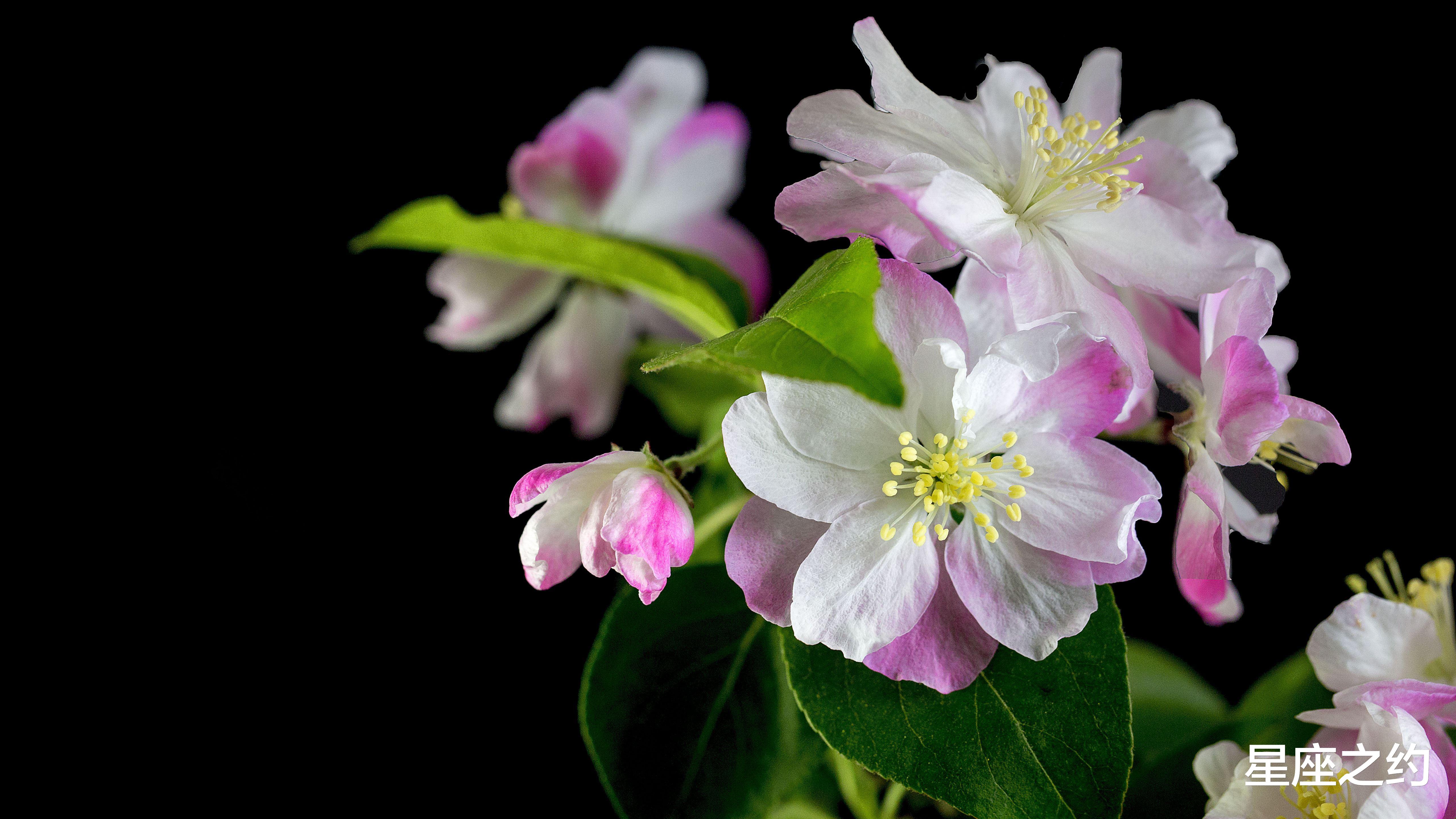 吴奇隆|2月9日-13日星座运势：金牛座积极主动，双鱼座刮目相看