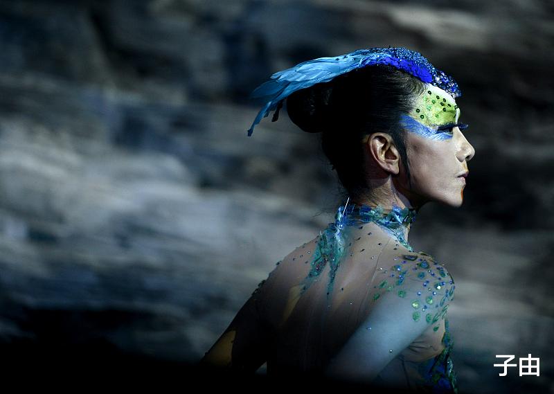 春晚|好家伙，杨丽萍的舞道上不了春晚？本人无奈的在微博展示作品