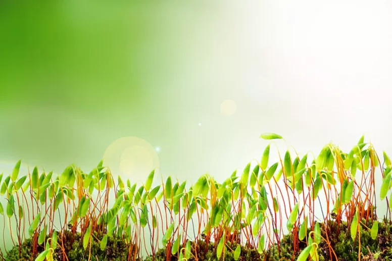 医院|甲友心声——术后乳糜漏，出院后又不得不去了三次医院