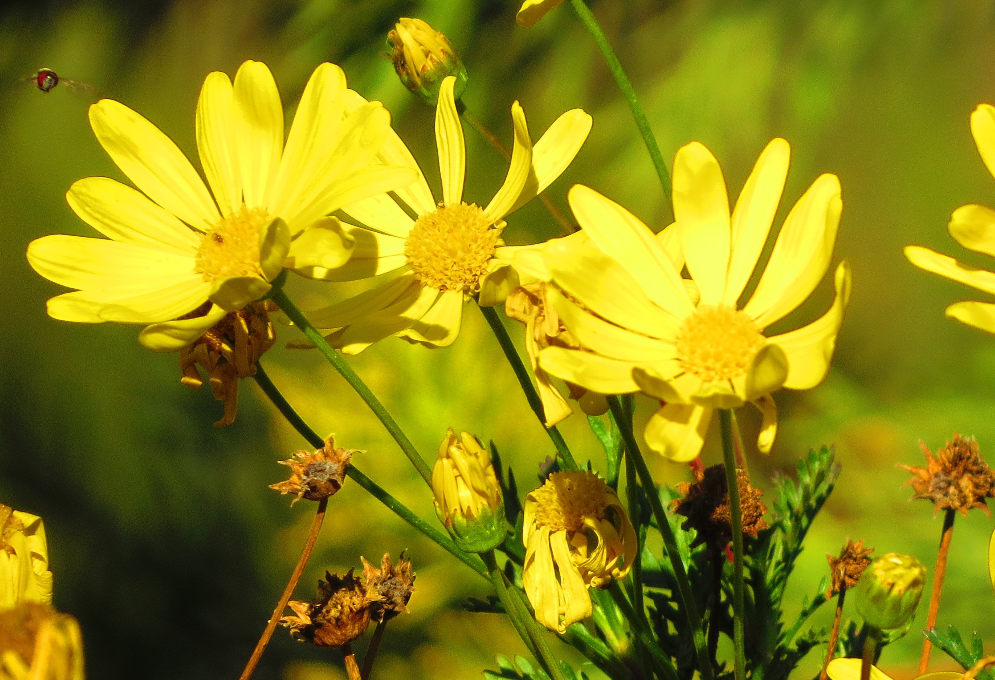 生肖夜梦|7月底，霉运全消，不再被压制，摆脱困境，3生肖贵人相助，事业红红火火