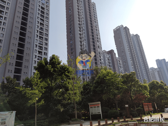 |滨湖二手房天花板，实探46和师范附小双本部的书香门第！