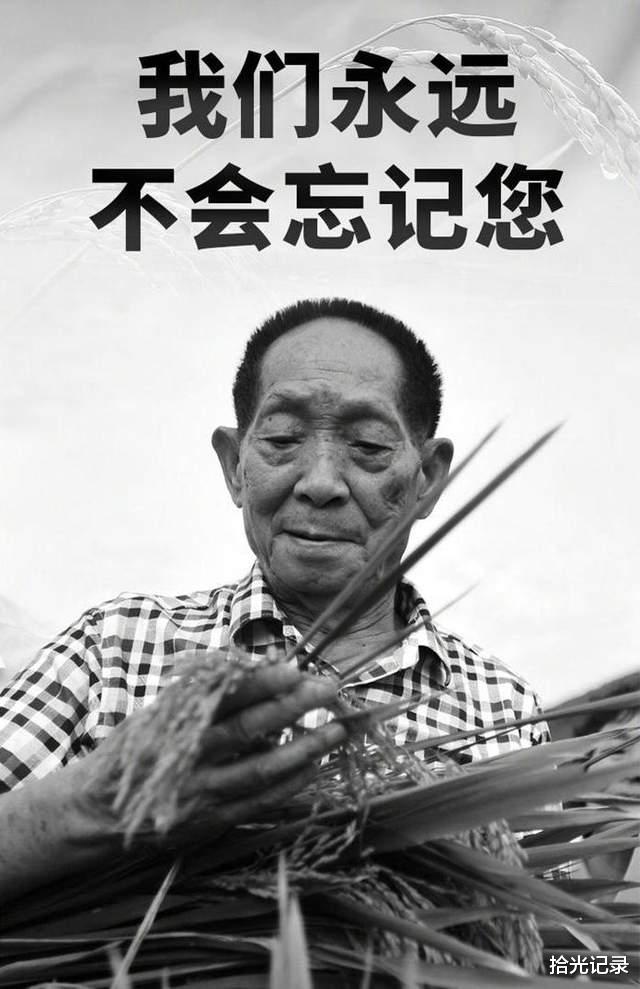 拾光记录 袁隆平对人类的贡献值得我们一生怀念