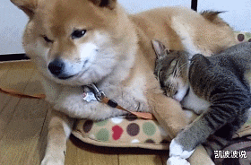 按摩|若在按摩店偶遇女大童鞋,她装作不认识我,这种情况要主动说话吗?