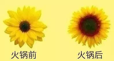 菠菜|中国发布首张“饮食习惯与代谢病地图”：别让饮食侵蚀了你的健康