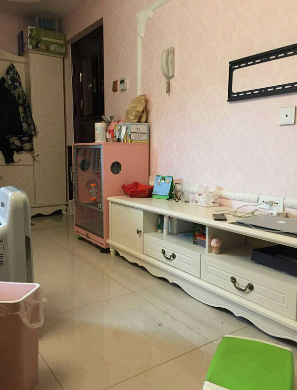 晒晒我的30㎡的单身公寓，粉色系列超软萌！还有一只可爱的仓鼠！