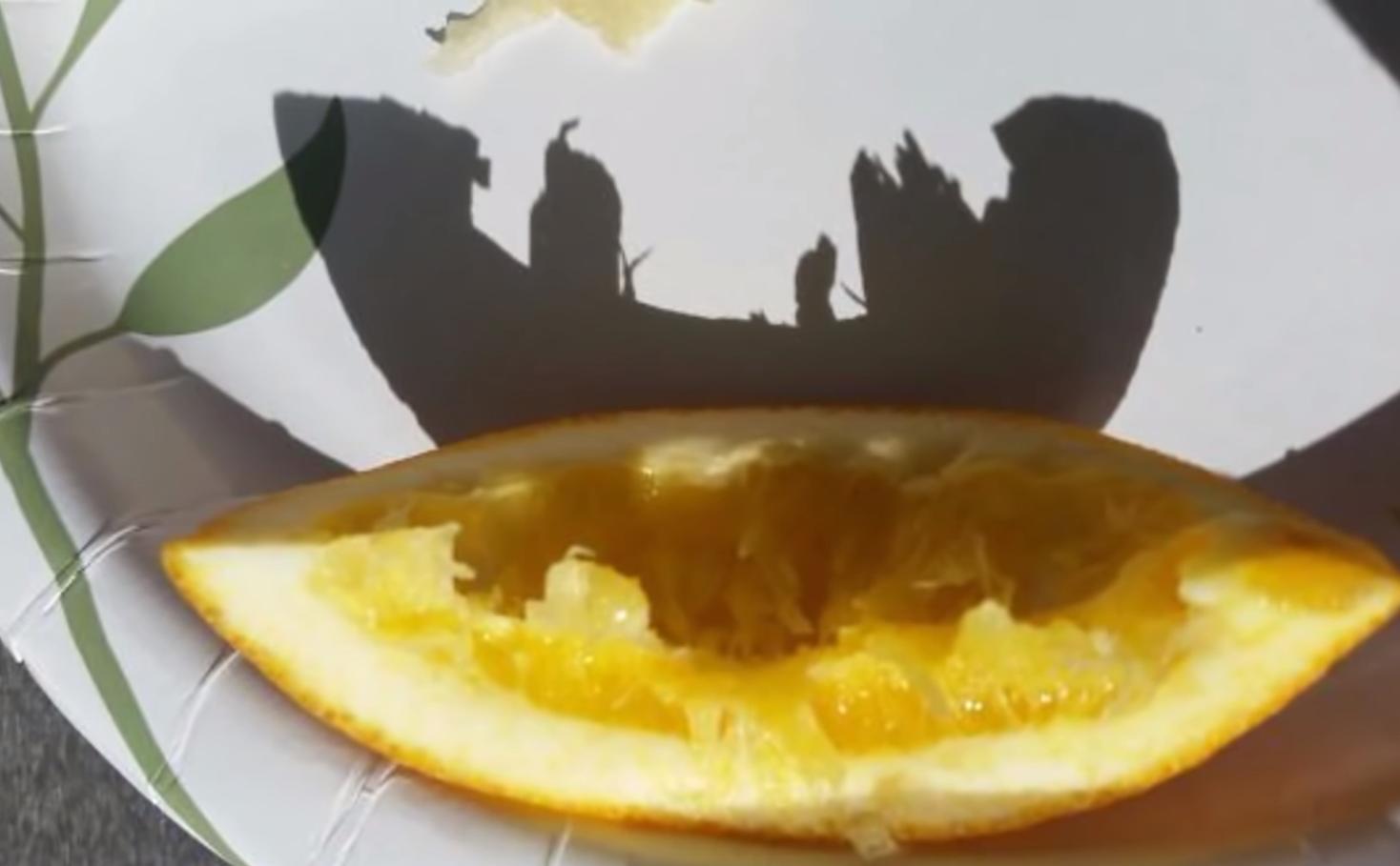 海之归墟|32张不可思议的照片,证明影子也会“骗人”