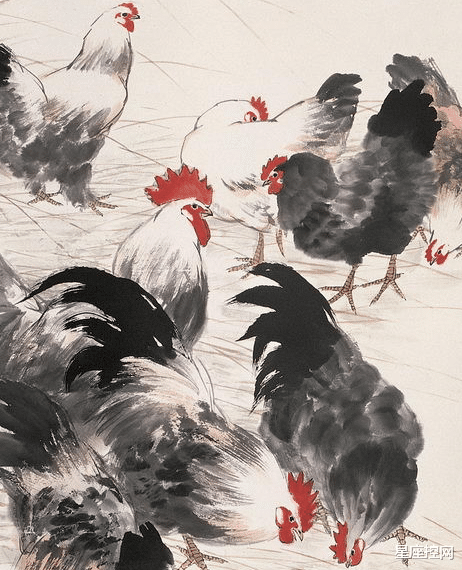 属鸡|属鸡的人从几岁开始，找工作顺利，找对象美满，没啥坏运气