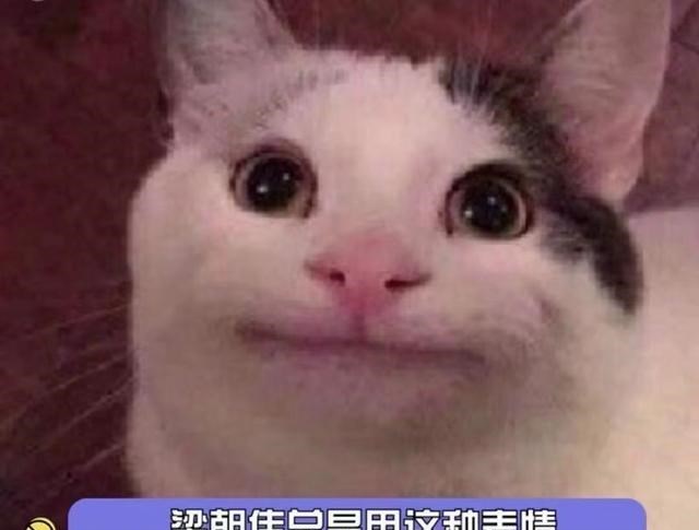 刘嘉玲|6位被误认为是香港人的内地明星，有的年少成名，有的获奖无数